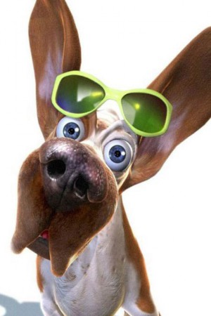 What are you looking at?